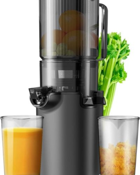 Masticating Juicer